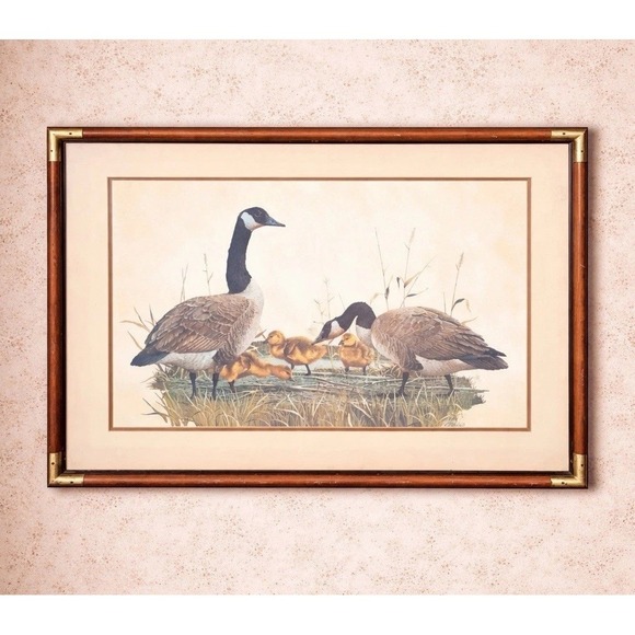 Vintage Anthony Rudisill Canada Geese Signed Print 34x25